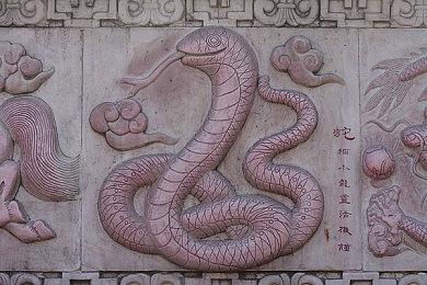 蓝洞MMO《TERA神谕之战》停止开发 游戏停服