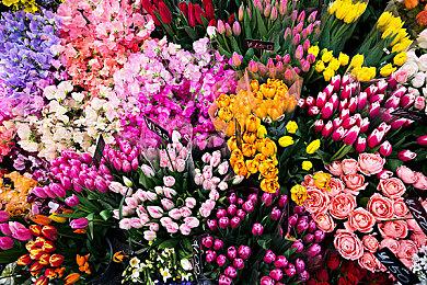 《遗产传奇》HD重制Steam版2024年3月发售 主机版2月发售